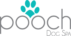 Pooch Dog Spa