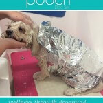 Enjoying a facial and head massage at pooch Dog Spa