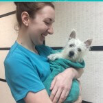 Post bath cuddles at pooch Dog Spa