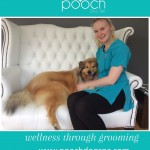 Post treatment cuddles at pooch Dog Spa