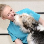 Happy dog at pooch Dog Spa