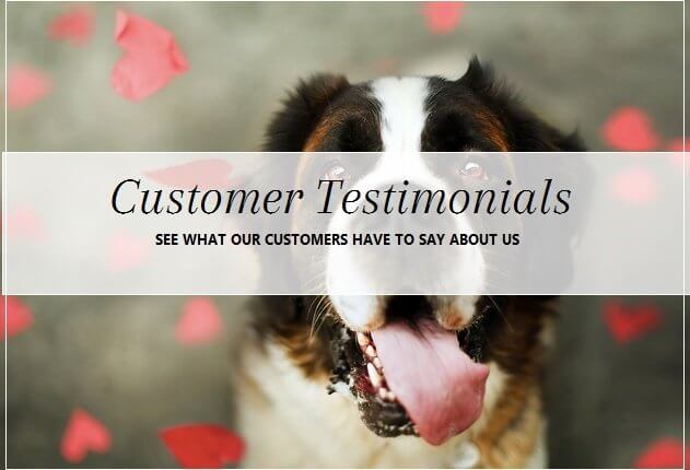 Five star reviews for pooch Dog Spa