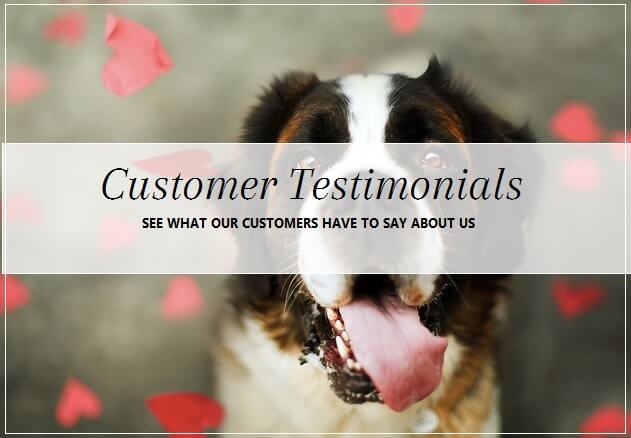 Five star reviews for pooch Dog Spa