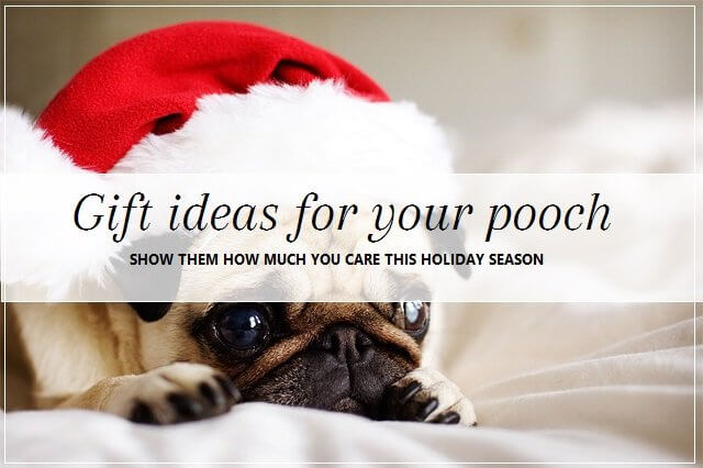 Christmas gift cards