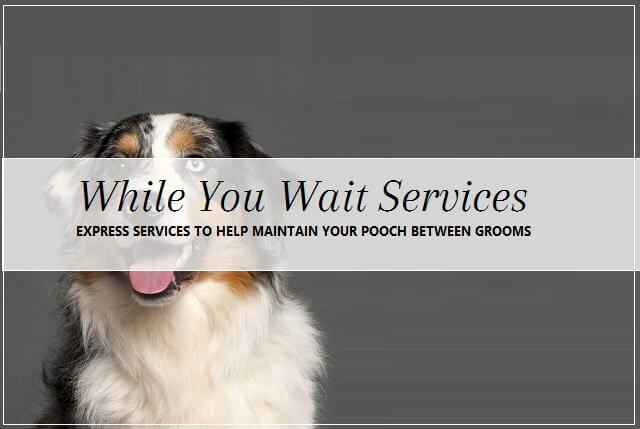 Express grooming treatments