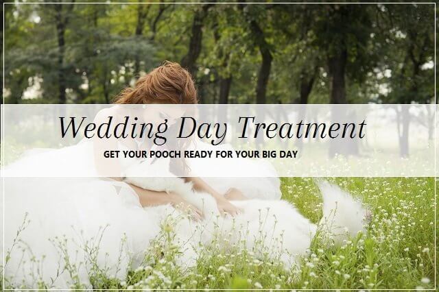 Wedding day spa treatment